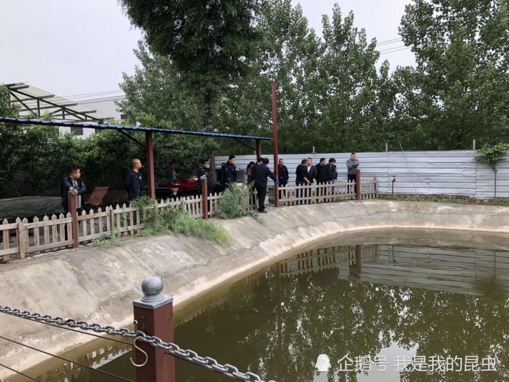 西安2岁多男孩农家乐鱼塘溺亡 母亲抱他在怀呼喊着小名