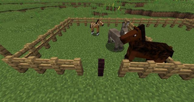 我的世界 Minecraft中的动物围场应该如何建造 看点快报