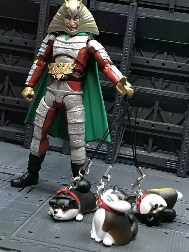 还记得那只不想回家的柴犬吗 刚刚手办化的它就被网友玩坏了 看点快报