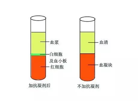 血清疗法的原理是什么意思_血清高是什么原因