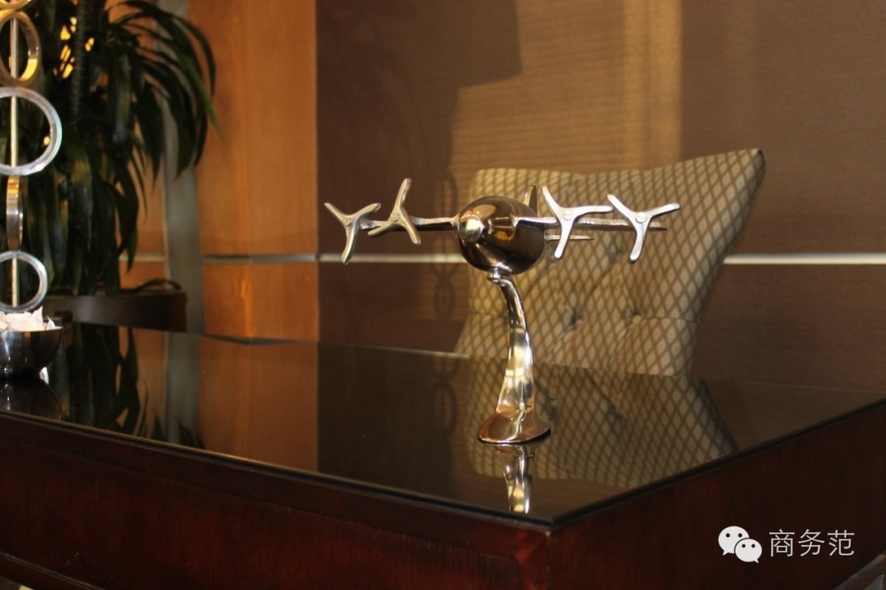 刘强东给奶茶妹买的4亿私人飞机，坐上去是什么体验？