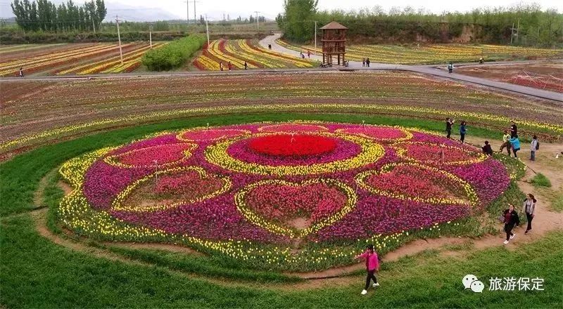 保定周边的绝美景点!赏花,古镇,山水…五一就去这里了