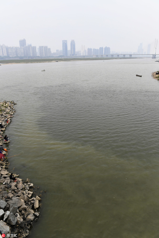 江西南昌城市内河排水 赣江又现"双色江水"泾渭分明