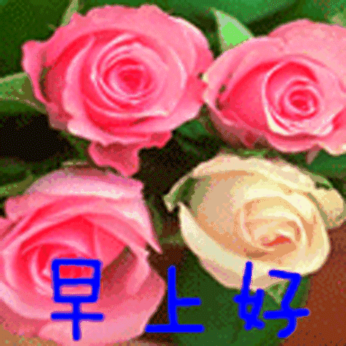 朋友们早上好图片祝福语 早晨好问候表情包
