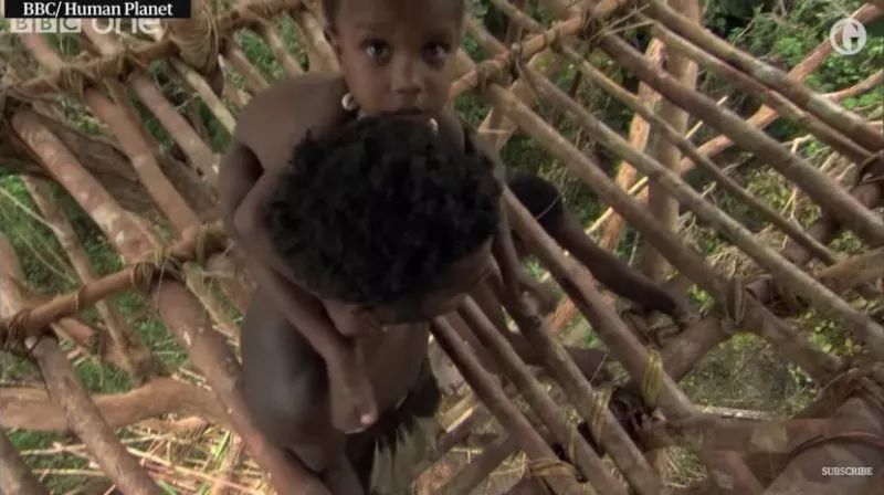 BBC 承认纪录片造假,非洲部落树屋为摄制组故