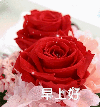 朋友们早上好鲜花表情包 动态鲜花表情图片大全微信