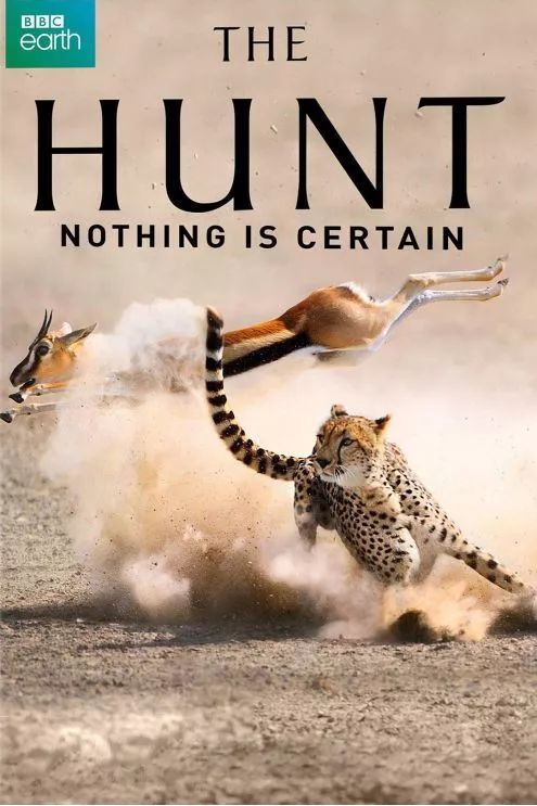 《猎捕》the hunt