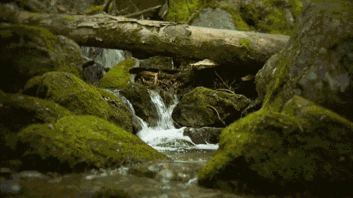 又要变天了!暴雨!雷电!冰雹!高温!