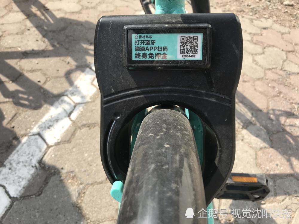 沈阳:青桔单车前车把二维码遭油漆涂盖 后面二