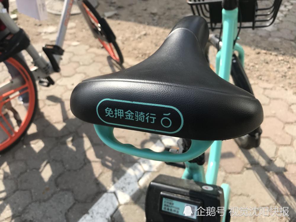 沈阳:青桔单车前车把二维码遭油漆涂盖 后面二