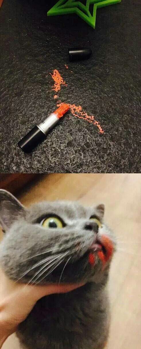 搞笑的图片,让人喷饭,看到第六张,笑的我都抽筋了