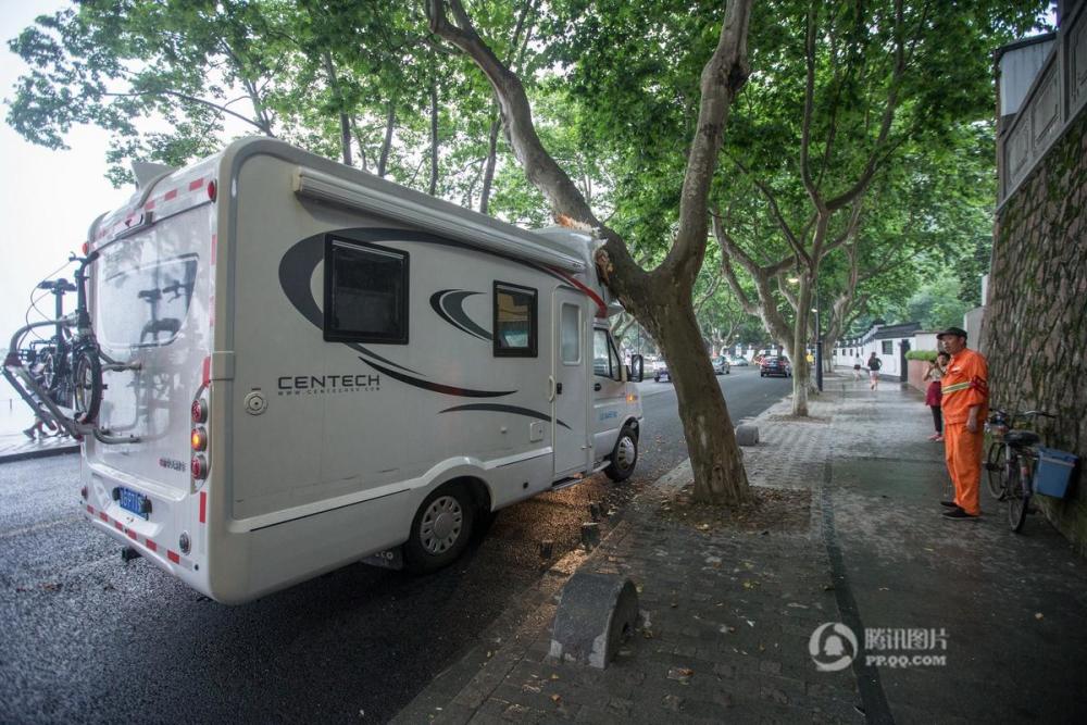 房车撞西湖边梧桐 车主赔2000元