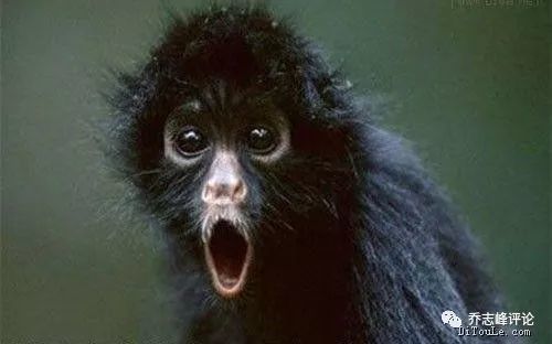 外国女孩北京追鸭蛋,是不是别有用心?