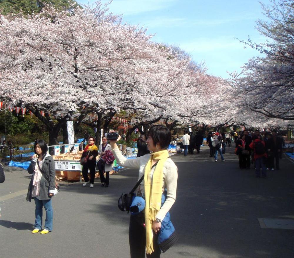 外国游客就医欠钱事件剧增 日本政府将列出黑
