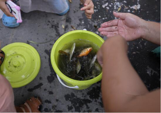 男子偷6万元锦鲤,卖不出竟涮火锅吃了,吃货的