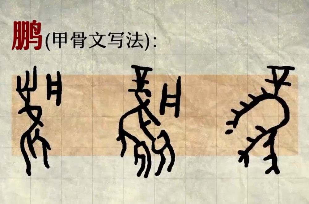 图解先秦古汉字演变进程,甲骨文,金文,篆书,隶书是怎么改变?