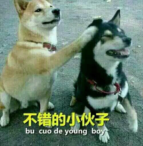企鹅娘吐槽：你最想和哪个动漫角色私奔呢？