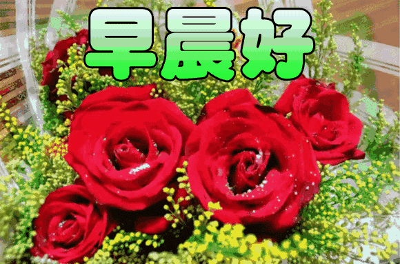 2020最新早上好图片带字和鲜花 早上好问候语带鲜花表情包