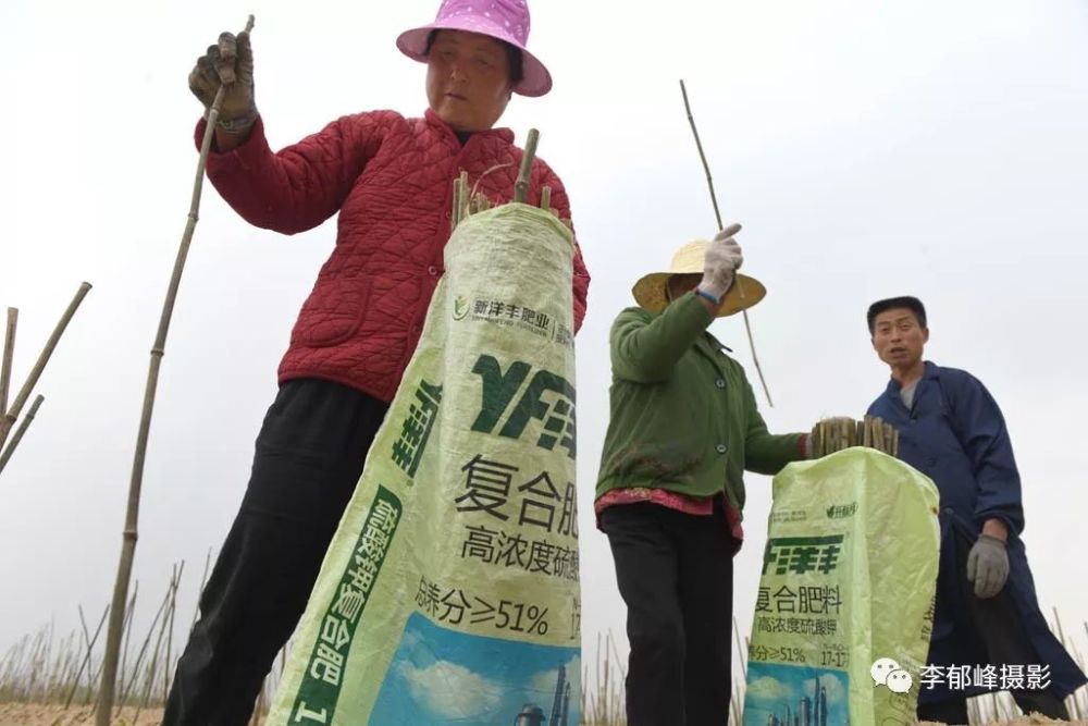 平均年龄67岁的老人打短工一天能挣100元还管