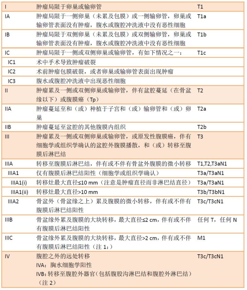 卵巢癌术后注意事项 看点快报