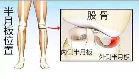 登录查看大图