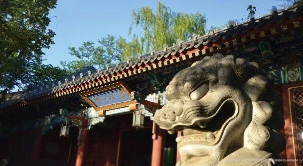 领取校庆纪念信封、徽章,北大师生人人有份!