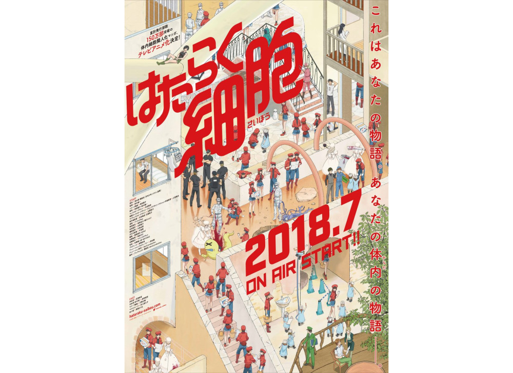 《工作细胞》公开追加声优和OP情报 7月7日开播