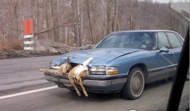 ²ۣƯưɣŮԶ˾кøУ