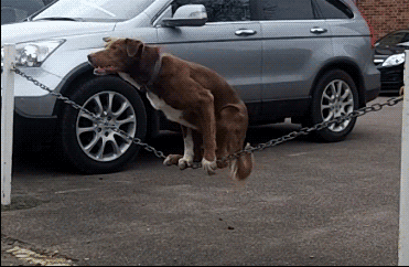 小青年爆笑gif图集:到底谁才是她表哥?被绿的这样不留