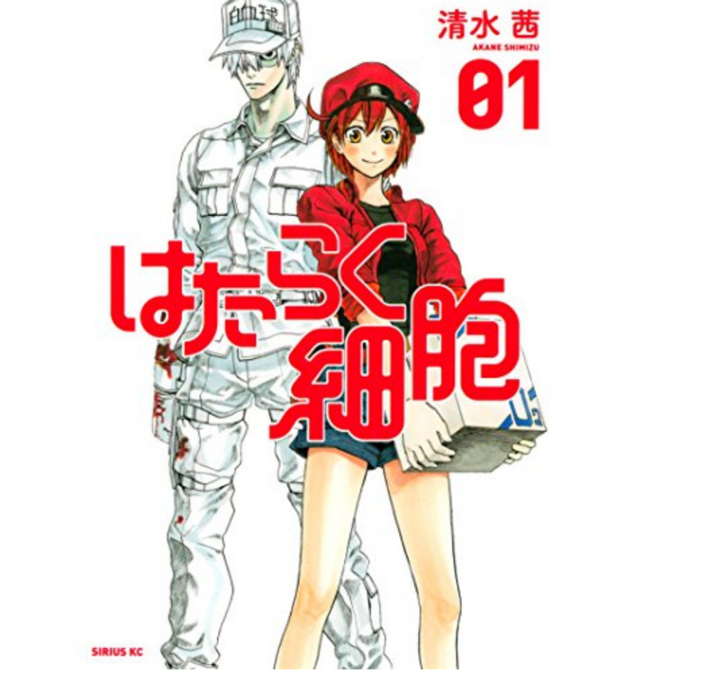 日媒选适合窝在房间看的漫画：《迷宫饭》《工作细胞》