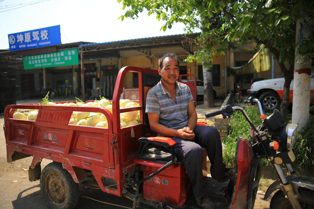 甜瓜丰收3亿斤后:基地2元一斤超市涨5倍