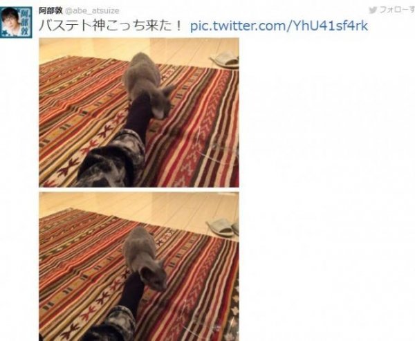 被猫片出卖？植田佳奈与阿部敦疑似交往中