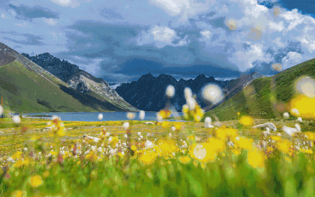 国庆出游,谁是你的c位