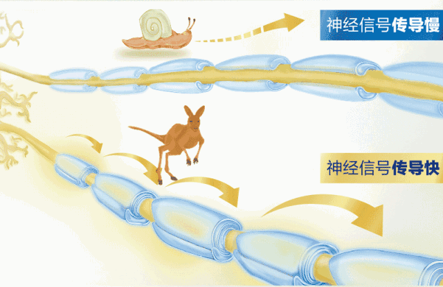 640_415gif 动态图 动图