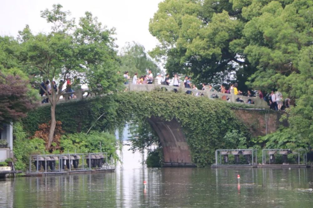 浙江大学,西溪湿地,杭州植物园