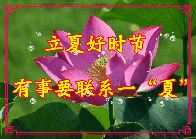 今日立夏,最美祝福送上,快快打开为夏天起个好头!