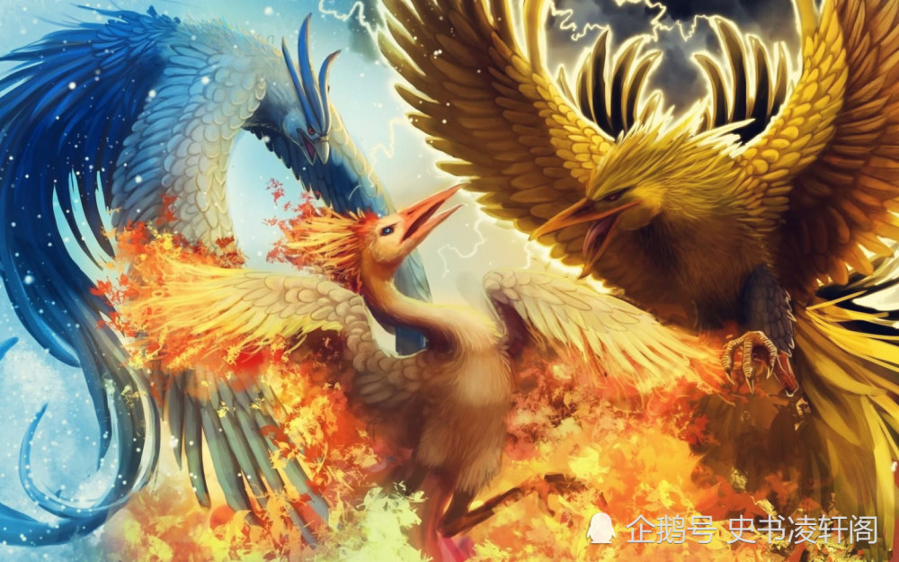 8,金翅大鹏