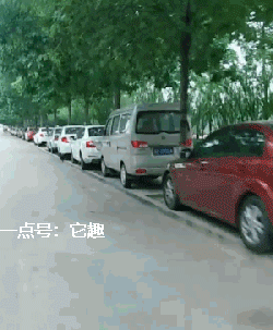 搞笑gif:真是猴精下凡了,妹子表情太到位了!