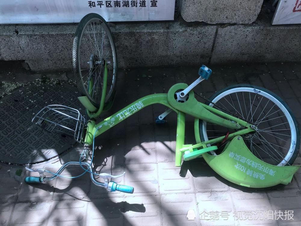 沈阳:酷奇共享单车遭私锁霸占 市民为解气连车