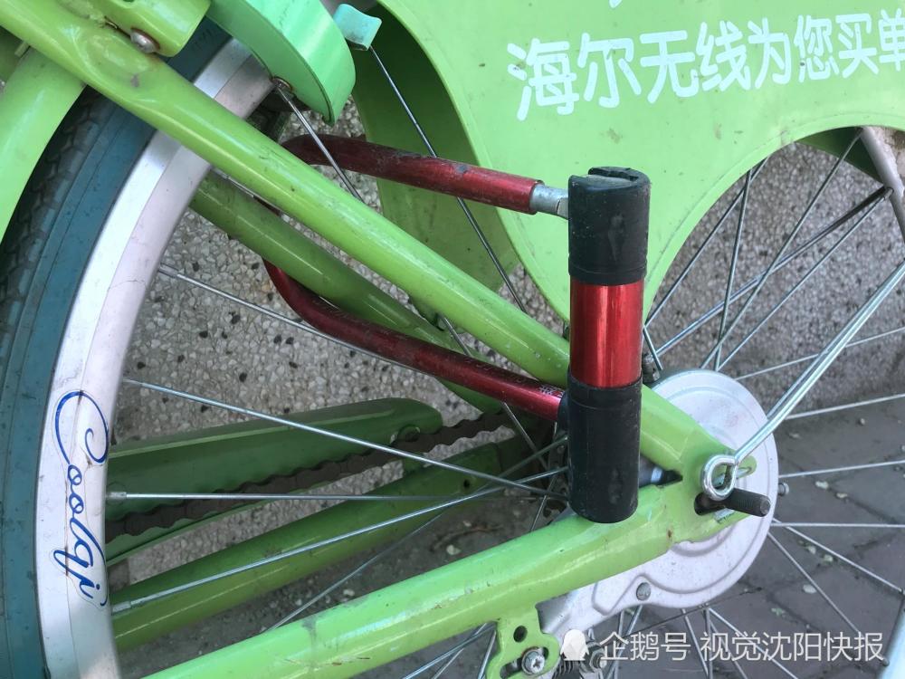 沈阳:酷奇共享单车遭私锁霸占 市民为解气连车