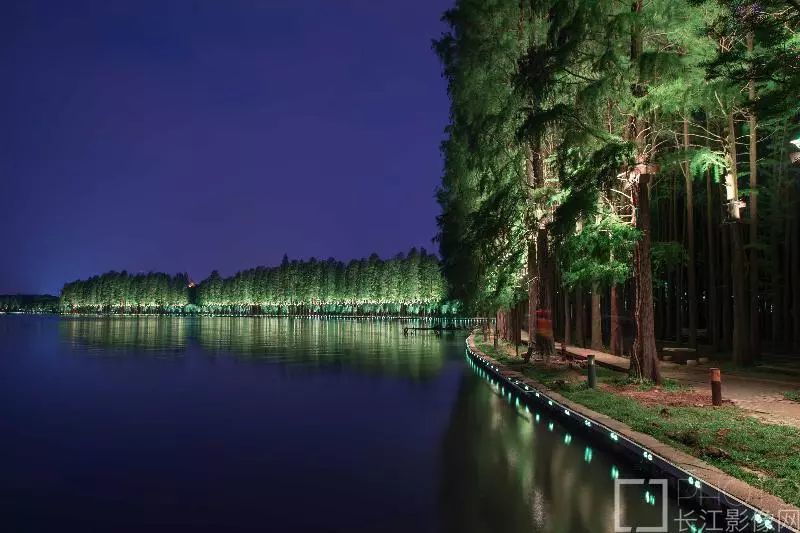 东湖夜景美如画