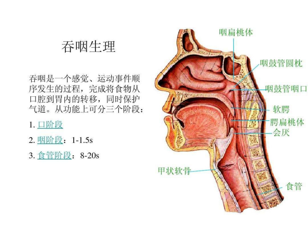 如果出现以上5种表现的任一种症状,一定要到医院去排查下鼻咽癌