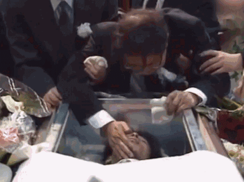 500_373 gif 动态图 动图