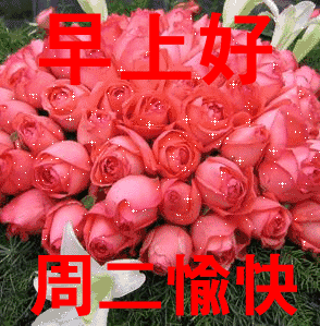 2019最美早上好图片动态带字大全 最新版早上好问候动态图片