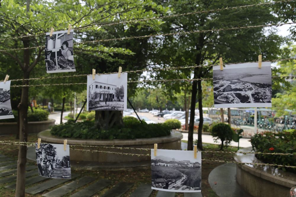 寶安中學第九屆校園文化展示季圓滿落幕