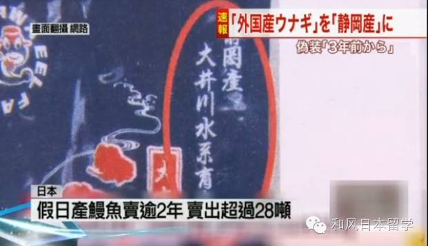 Ϊʲôٻձ˵Ļش14˳Ĭ