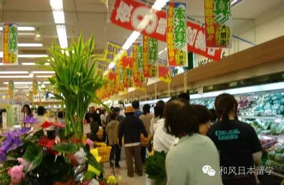 Ϊʲôٻձ˵Ļش14˳Ĭ