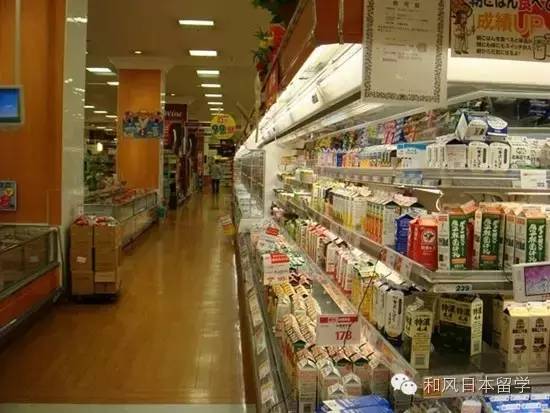 Ϊʲôٻձ˵Ļش14˳Ĭ