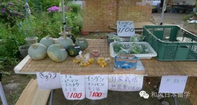 Ϊʲôٻձ˵Ļش14˳Ĭ