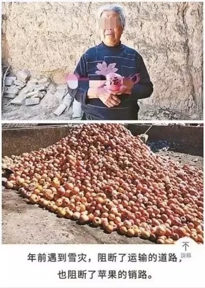 大爷你咋卖啥啥滞销?小心这些